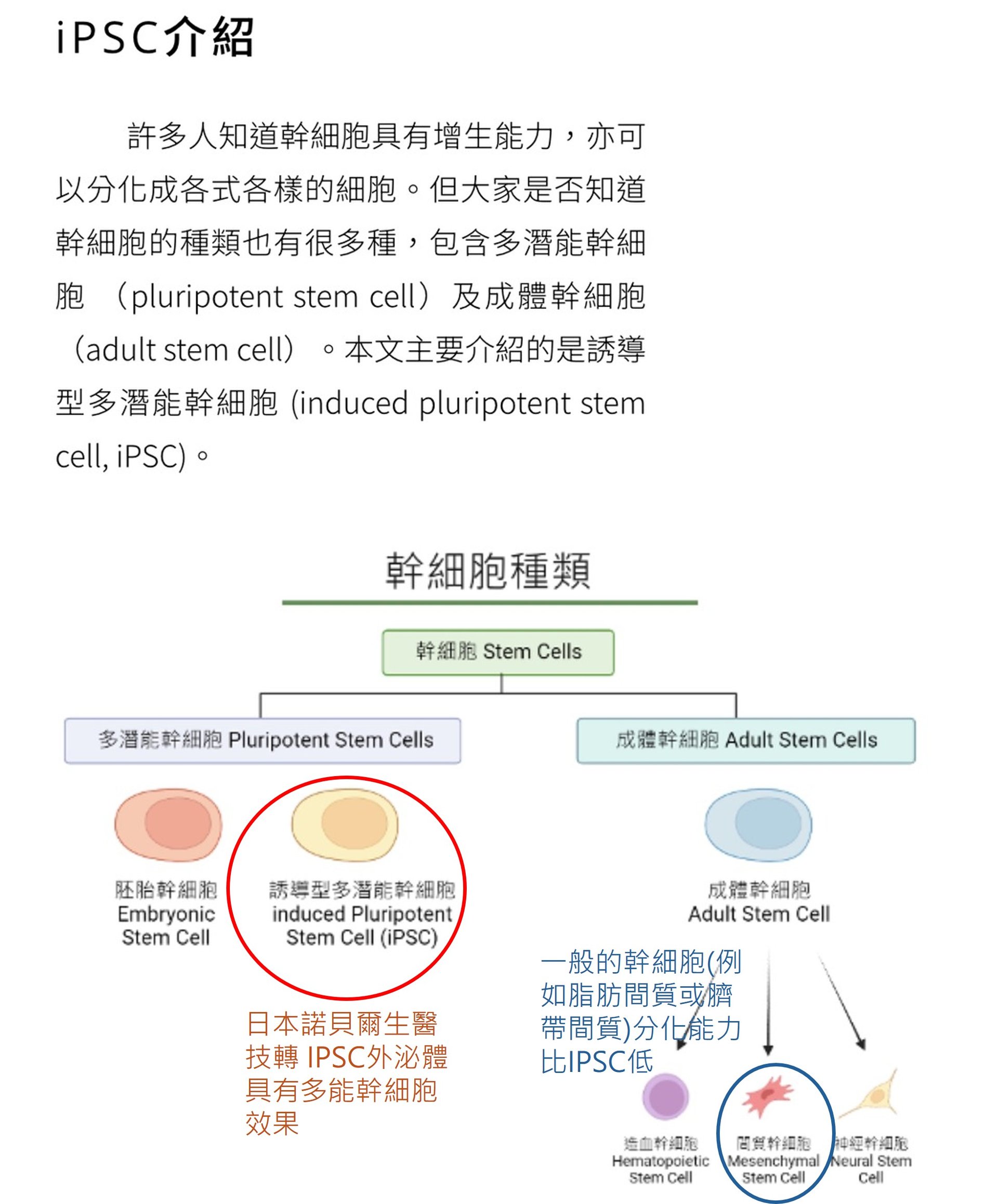 iPSC多功能幹細胞與一般間質幹細胞的比較 — 幹細胞分類圖