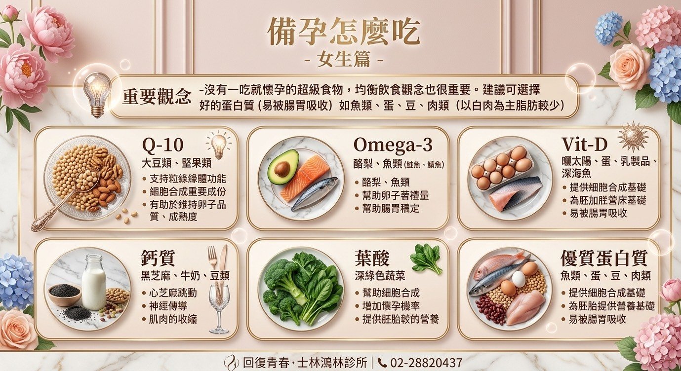 備孕吃什麼 養卵5寶 女性備孕營養食物推薦 鴻林診所