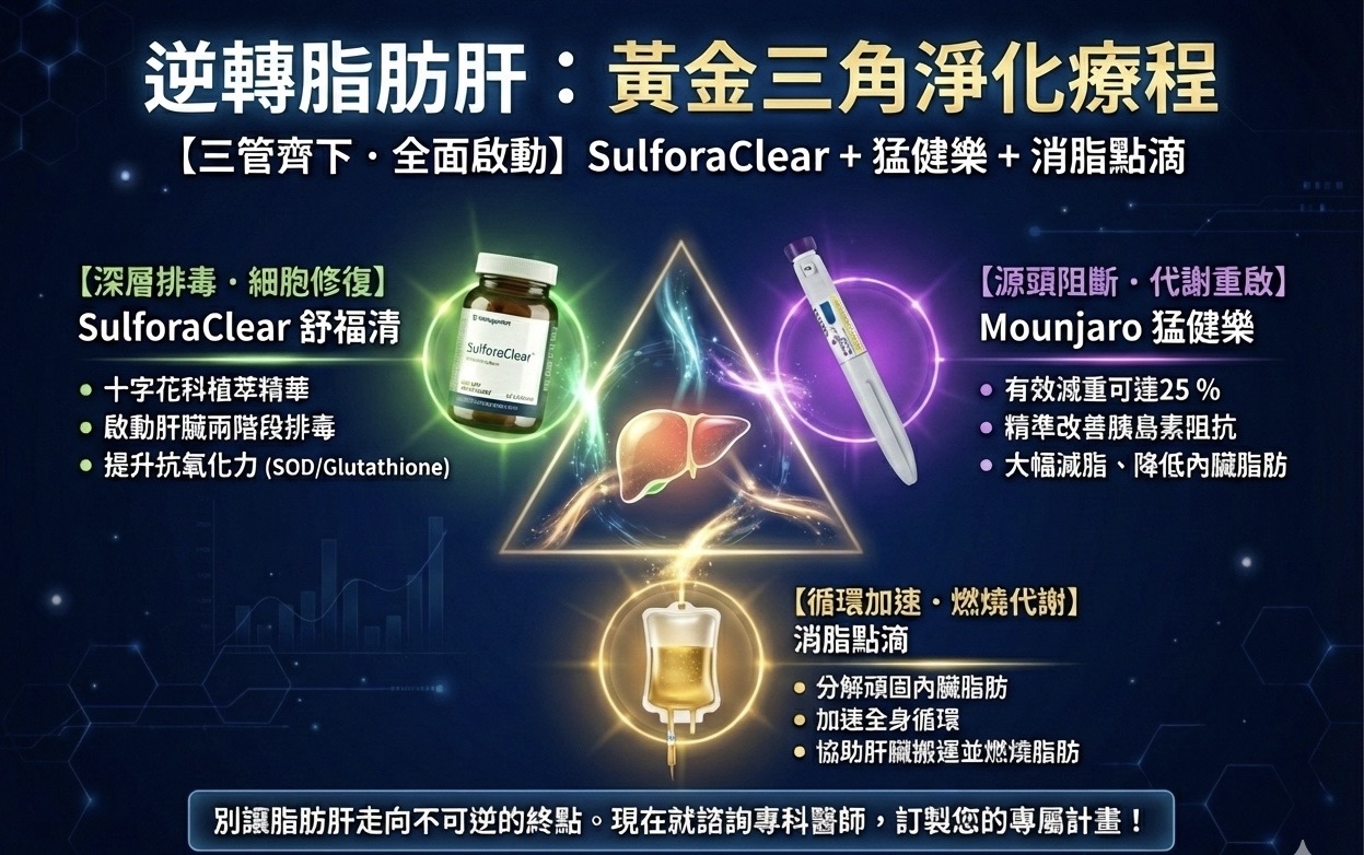 逆轉脂肪肝黃金三角淨化療程：舒福清SulforaClear＋猛健樂Mounjaro＋消脂點滴